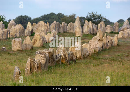Carnac allineamento delle pietre in Bretagna, Francia Foto Stock