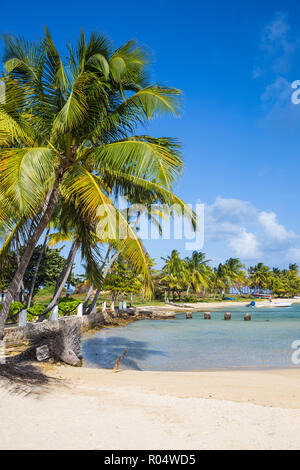 Clifton Harbour, Union Island, Grenadine, Saint Vincent e Grenadine, West Indies, dei Caraibi e America centrale Foto Stock