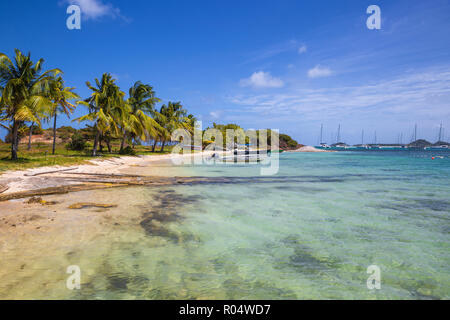 Clifton Harbour, Union Island, Grenadine, Saint Vincent e Grenadine, West Indies, dei Caraibi e America centrale Foto Stock