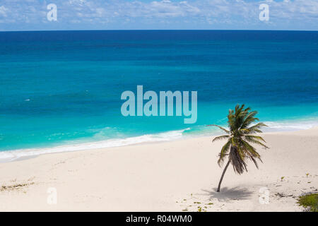 Fallo Bay, Barbados, West Indies, dei Caraibi e America centrale Foto Stock