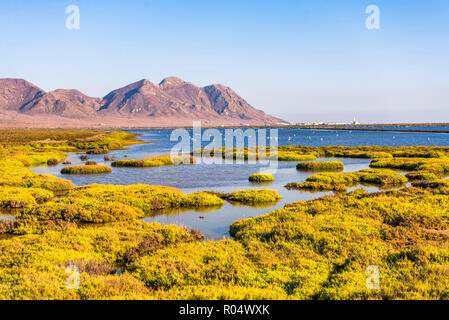 Cabo de Gata-Nijar parco naturale, Almeria, Andalusia, Spagna, Europa Foto Stock