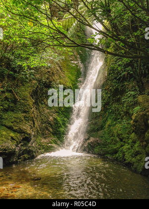 Ohau stream pub di tenuta, cascata vicino a Kaikoura sull'Isola del Sud della Nuova Zelanda Foto Stock