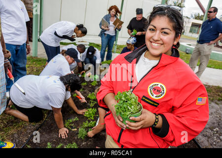 Miami Florida,Little Haiti,Edison Plaza,Public Housing,Martin Luther King Jr. Giorno di,MLK,AmeriCorps,studenti dell'anno della città,volontari vo Foto Stock