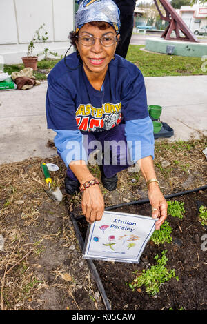 Miami Florida,Little Haiti,Edison Plaza,Public Housing,Martin Luther King Jr. Day of Service,MLK,volontariato volontariato servizio comunità w Foto Stock