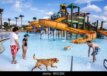 Miami Florida, Grapeland Water Park, Dog A Pool Ooza, Black Beard's Beach, scivolo acquatico, parco giochi, uomo ispanico uomini maschio adulti, uomini, donna femmina Foto Stock