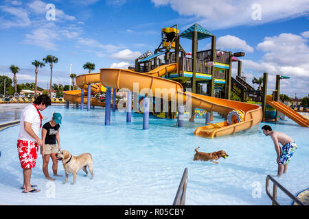 Miami Florida, Grapeland Water Park, cani a piscina Ooza, Black Beard's Beach, scivolo acquatico, parco giochi, ispanico latino latino latino latino latino immigrato immigrato immigrato immigrato Foto Stock