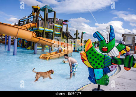 Miami Florida, Grapeland Water Park, cani a Pool Ooza, Black Beard's Beach, artista, Romero Britto, scultura, scivolo acquatico, parco giochi, ispanico latino Foto Stock