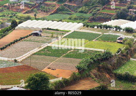 Alle persone di lavorare su piccoli terrazzamenti tradizionali campi colorati in Vietnam, vista aerea Foto Stock