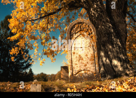 Antica lapide accanto ad un grande albero in autunno il cimitero. Caduta delle Foglie e caduta foglie sul terreno. Vintage effetti di filtro. Foto Stock