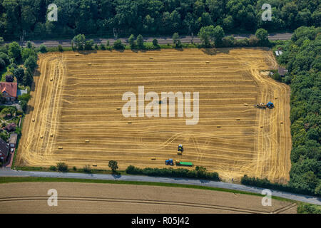 Vista aerea, campo a Drensteinfurt, trattori presso la paglia raccolto sulla B58, Drensteinfurt, Münsterland, Renania settentrionale-Vestfalia, Germania, Europa, DE Foto Stock