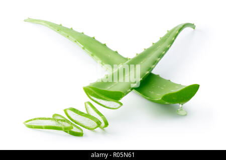 Aloe Vera isolati su sfondo bianco - percorso di clipping incluso Foto Stock