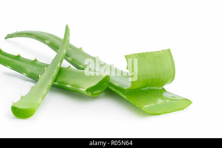 Aloe Vera isolati su sfondo bianco - percorso di clipping incluso Foto Stock