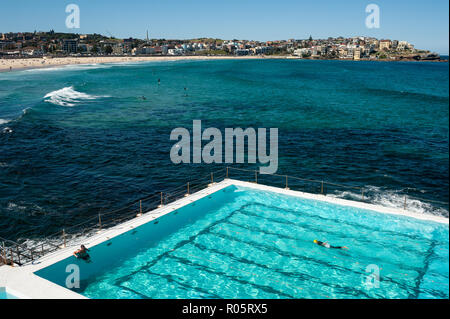 Sydney, Australia, nuotatore a Bondi iceberg club di nuoto Foto Stock