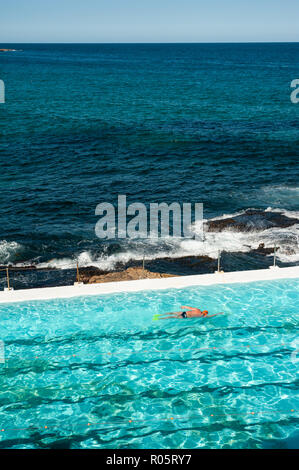 Sydney, Australia, nuotatore a Bondi iceberg club di nuoto Foto Stock