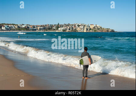 Sydney, Australia, un surfista a Bondi Beach Foto Stock