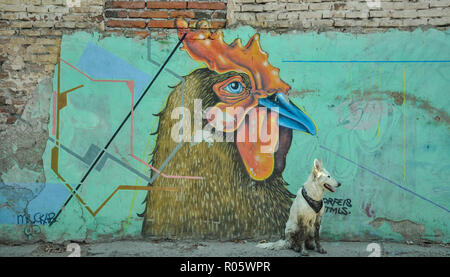 07/07/2018, Minatitlan, Sinaloa, Messico: un cane con una bandana si siede di fronte a un gallo Foto Stock