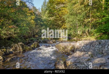 Il fiume Llugwy corre sopra alcune rocce presso il villaggio gallese di Betws-y-coed. Alberi circondano il fiume su ciascun lato. Foto Stock