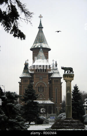 Lupo capitolino statua che si trova nella parte anteriore di Timisoara cattedrale ortodossa su Victoria Square, Timisoara, Romania Foto Stock