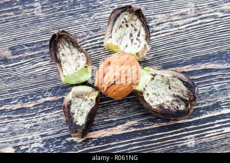 Noci su una tavola di legno, aperto dalla buccia verde, close-up di utile raccolto cibo Foto Stock