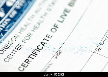 Certificato di nascita vivere fino in prossimità di ripresa macro. Foto Stock