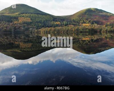 Holme Legno e colline sopra riflessa nella ancora Loweswater, Parco Nazionale del Distretto dei Laghi, Cumbria, England, Regno Unito Foto Stock