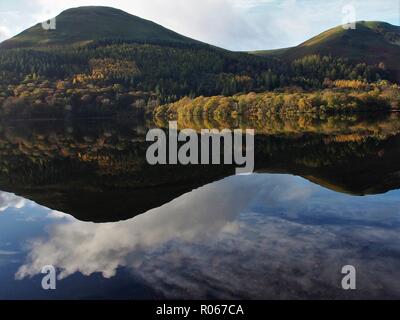 Holme Legno e colline sopra riflessa nella ancora Loweswater, Parco Nazionale del Distretto dei Laghi, Cumbria, England, Regno Unito Foto Stock