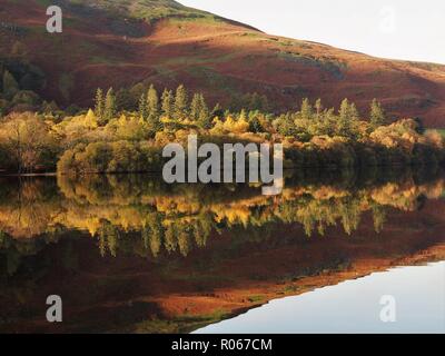 Holme legno e la collina alle spalle di riflesso in Loweswater, Parco Nazionale del Distretto dei Laghi, Cumbria, Regno Unito Foto Stock