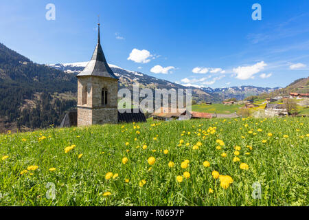 Torre campanaria circondata da fiori selvaggi e prati in primavera, Luzein, Prattigau-Davos regione del Cantone dei Grigioni, Svizzera, Europa Foto Stock