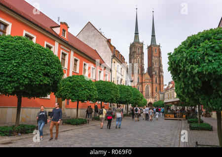 Isola Tumski cattedrale, vista lungo Katedralny verso le torri gemelle del west end di San Giovanni Battista cattedrale sulla isola Tumski, Wroclaw, Polonia. Foto Stock