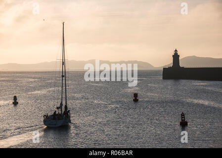 Barca a vela voce fuori St. Peter Port Harbour di sunrise, Guernsey, Isole del Canale, Regno Unito, Europa Foto Stock