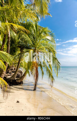 Una vista del Mar dei Caraibi off Bocas del Drago beach, Colon Isola, Bocas del Toro isole, Panama, America Centrale Foto Stock