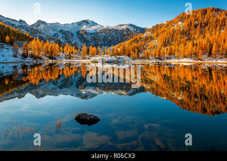 Specchio di autunno a San Giuliano lago, Dolomiti di Brenta Parco naturale Dolomiti Trentino Alto Adige, Italia, Europa Foto Stock