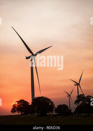 Le preoccupazioni sui cambiamenti climatici ha motivato un interruttore da pompare olio dal suolo per l'energia sostenibile da turbine eoliche. Foto Stock