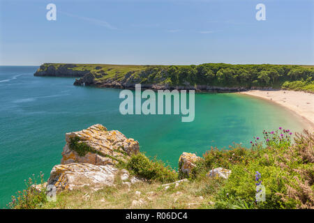 Barafundle Bay, Pembrokeshire Coast, Pembrokeshire, Wales, Regno Unito, Europa Foto Stock