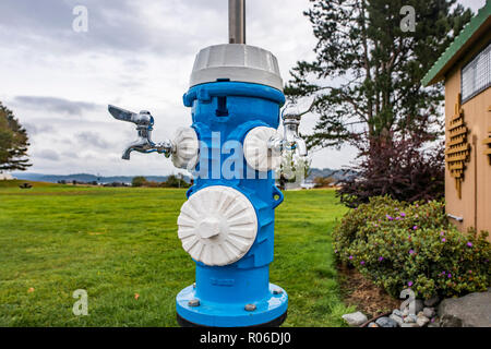 Idrante di fuoco fontanella, Campbell River, British Columbia, Canada Foto Stock