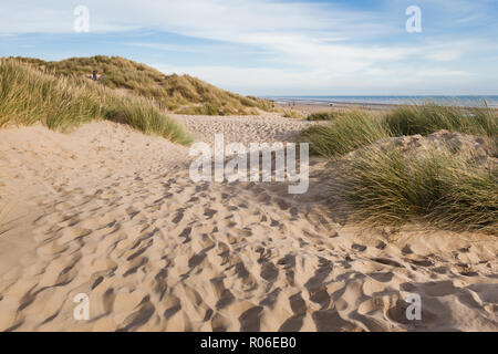 Camber Sands, spiaggia sabbiosa presso il villaggio di campanatura, East Sussex nei pressi di segale, Inghilterra, il solo dune di sabbia sistema in East Sussex. Vista sulle dune, erba Foto Stock