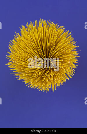 Vista dall'alto di spaghetti crudi assomiglia a Capodanno fuochi d'artificio nel cielo notturno su sfondo viola. Nuovo anno e Natale saluto astratto modello di scheda Foto Stock