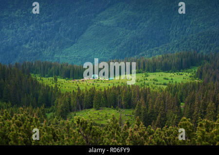 Primo piano di una baita in legno su un prato verde nella valle tra le maestose e verdi colline coperte di erba verde e la foresta di pini. Giorno di estate in giugno. Marmarosh, Ca Foto Stock