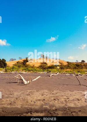 Cielo blu chiaro al di sopra di colline di sabbia con alberi dietro la spiaggia sulla giornata di sole Foto Stock