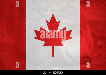 Bandiera del Canada in un design minimalista e di alta qualità Foto Stock