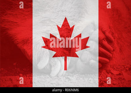 Bandiera del Canada in un design minimalista e di alta qualità Foto Stock