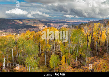 Autunno a colori - Manti-La Sal National Forest, Utah Foto Stock