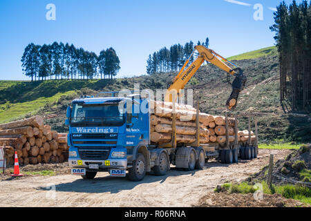Opuha, Canterbury sud, Nuova Zelanda, 14 Settembre 2018: un registro carrello essendo caricato con i registri di pino in corrispondenza di un sito di registrazione per l'esportazione Foto Stock