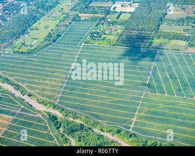 Vista aerea di ananas campi nei pressi General Santos City, a sud della provincia di Cotabato, sull isola di Mindanao, l isola più meridionale delle Filippine. Foto Stock