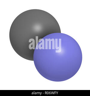 Anione cianuro, struttura chimica. Cianuri sono tossici, dovuta all'inibizione dell'enzima citocromo c ossidasi. Il rendering 3D. Gli atomi sono rappresentati come sp Foto Stock