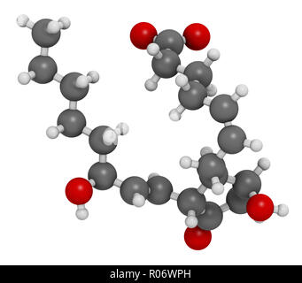 La prostaglandina D2 (PGD2 molecola). Il rendering 3D. Gli atomi sono rappresentati come sfere con i tradizionali colori: idrogeno (bianco), carbonio (grigio), ossig Foto Stock