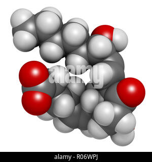 La prostaglandina D2 (PGD2 molecola). Il rendering 3D. Gli atomi sono rappresentati come sfere con i tradizionali colori: idrogeno (bianco), carbonio (grigio), ossig Foto Stock