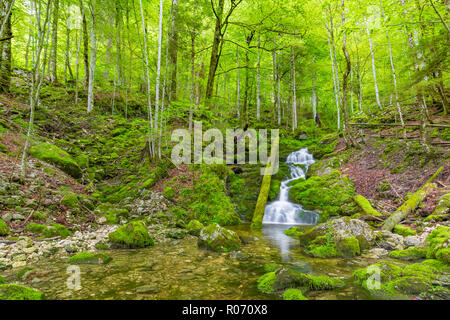 Cascata cade su rocce di muschio. Bellissima foresta verde scena, flusso di acqua. Un tranquillo e verde natura concetto di sfondo Foto Stock
