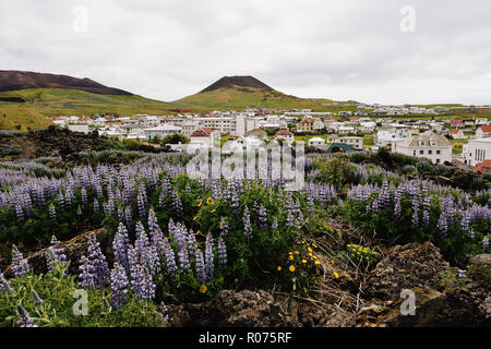 L'isola vulcanica città di Heimaey nell'arcipelago Vestmannaeyjar sulla costa sud dell'Islanda. Foto Stock