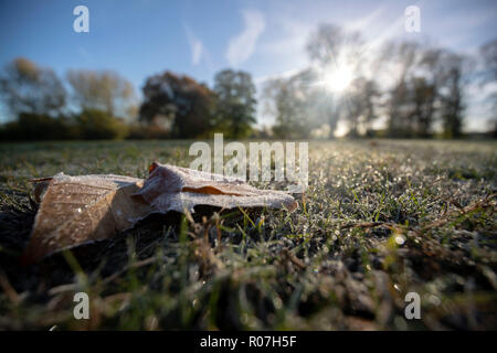 Coperto di brina Holme Park di Windsor, Berkshire, come il Regno Unito si sveglia per il freddo. Foto Stock